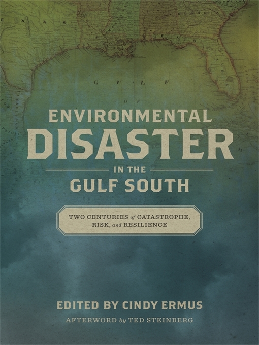Title details for Environmental Disaster in the Gulf South by Cindy Ermus - Available